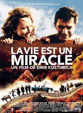 生命是个奇迹[电影解说] 海报