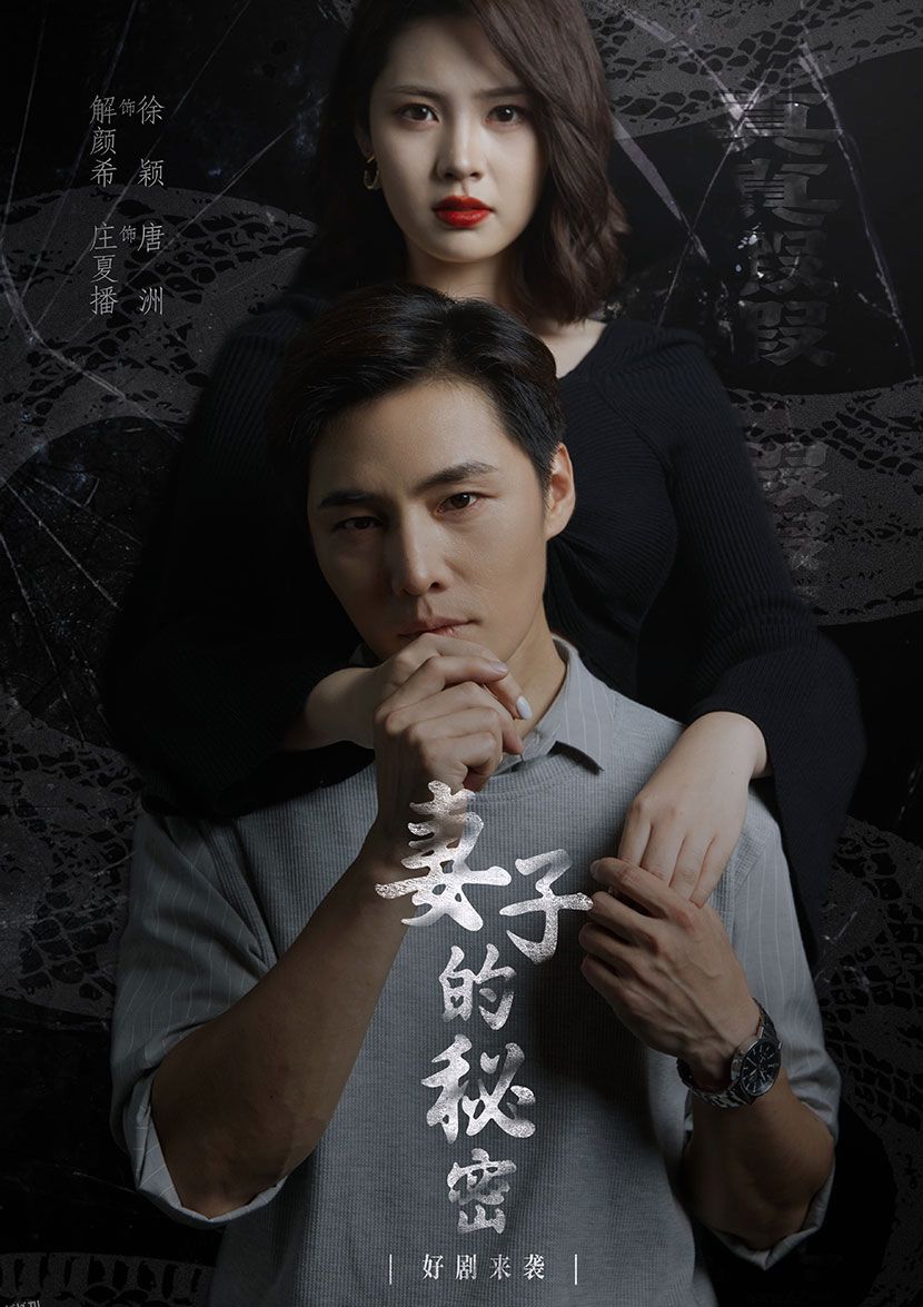 妻子不能说的秘密  妻子的秘密 海报