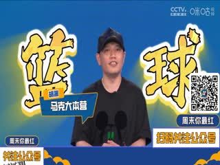 德甲联赛 勒沃库森VS多特蒙德 20250511 海报