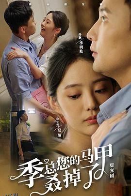 季总您的马甲叒掉了 海报