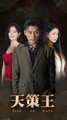 新版：天策王 海报