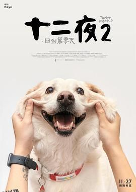 十二夜2：回到第零天 海报