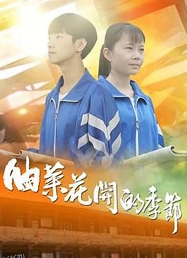 油菜花开的季节 海报