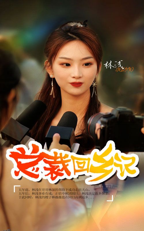 总裁回乡记 海报