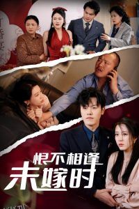 恨不相逢未嫁时30集 海报