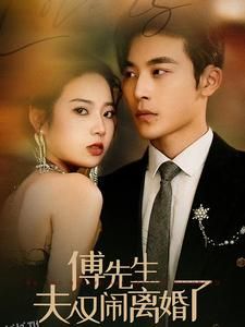 傅先生夫人又闹离婚了 海报