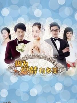 因为爱情有多美DVD 海报