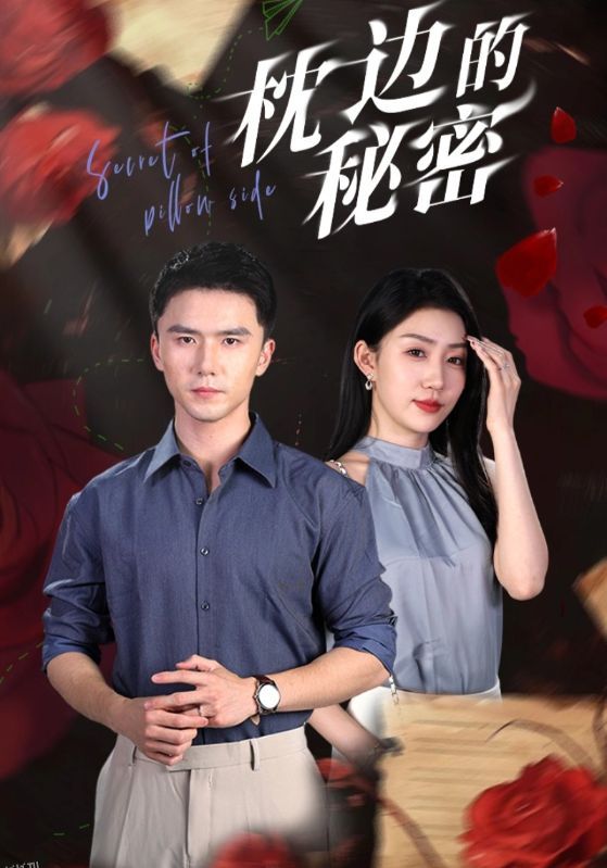 枕边的秘密 海报