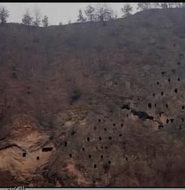 狩猎场·寄死窑 海报