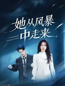 她从风暴中走来 海报