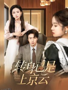 转身已是上京云 海报
