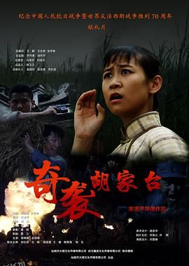 奇袭胡家台 海报