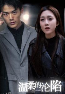 温柔的沦陷 海报