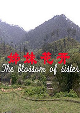 姊妹花开 海报