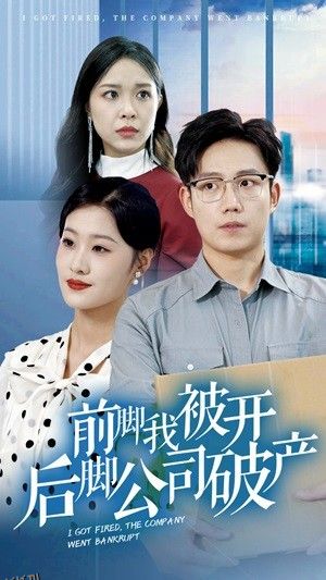 前脚我被开后脚公司破产 海报