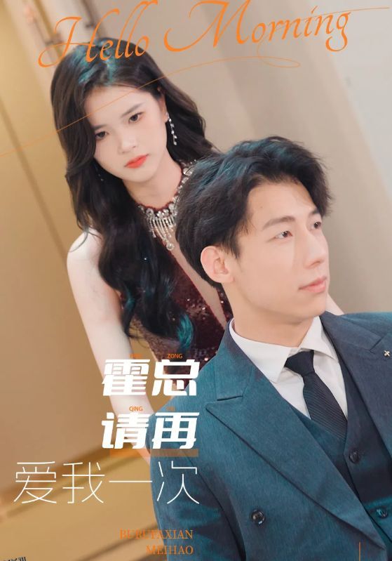 霍总请再爱我一次 海报