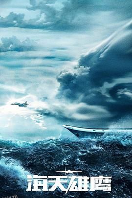 海天雄鹰 海报