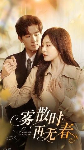 雾散时再无春 海报