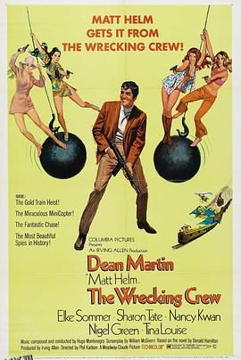 超级情报员麦汉4 海报