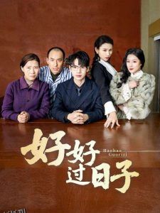 好好过日子短剧 海报