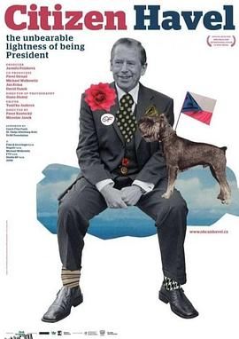 公民哈维尔 海报