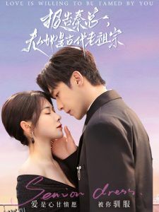 报告秦总，夫人她是古代老祖宗 海报