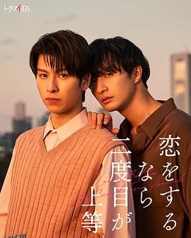 第二次恋爱才完美 海报