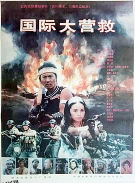 国际大营救[电影解说] 海报