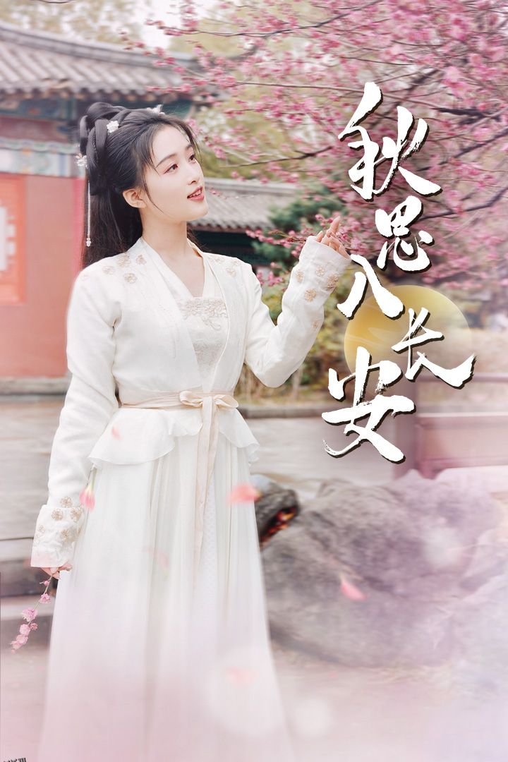 秋思入长安 海报