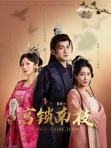 宫锁南枝 海报