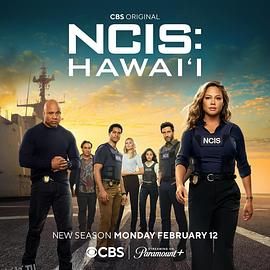 海军罪案调查处：夏威夷第三季 海报