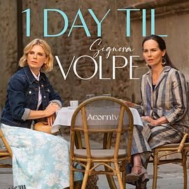 狐狸女士第二季 海报