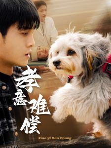 孝意难偿 高清海报