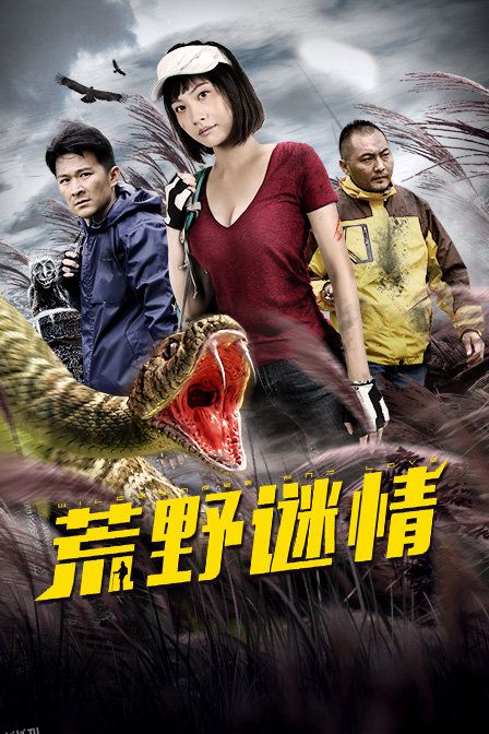 荒野谜情 海报