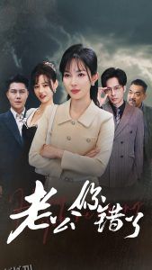 老公你错了 海报