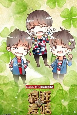 疯狂的麦咭第二季 海报