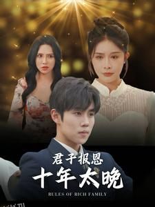 君子报恩十年太晚 海报