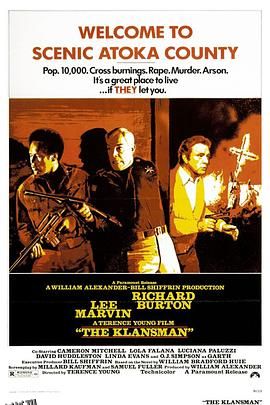 反黑双虎将 海报