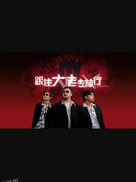 跟住大佬去旅行 海报