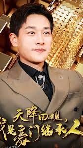 天降四姐，我是豪门继承人90 海报