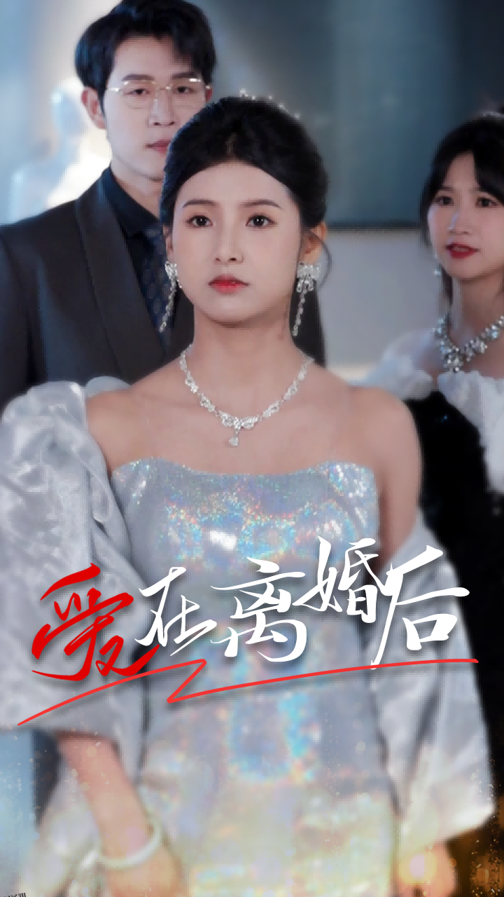 爱在离婚后 海报