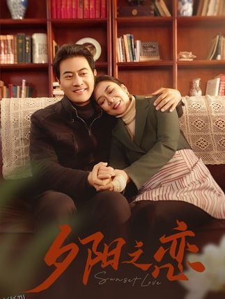 晚风知我意 海报