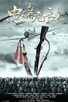 忠者无敌 高清海报