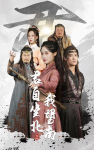 君自坐北我望南 海报