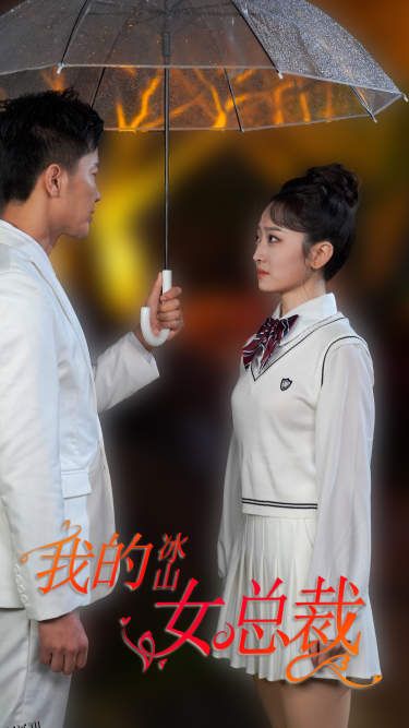 新版：我的冰山女总裁 海报