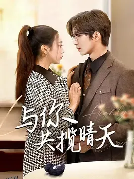 与你共揽晴天 海报