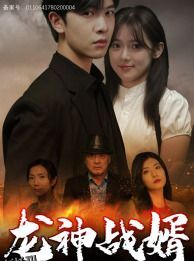 龙神战婿 海报