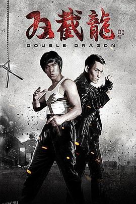 双截龙2016 海报