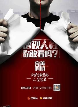 完美假期第一季 海报