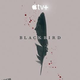 黑鸟 Black Bird[电影解说] 高清海报